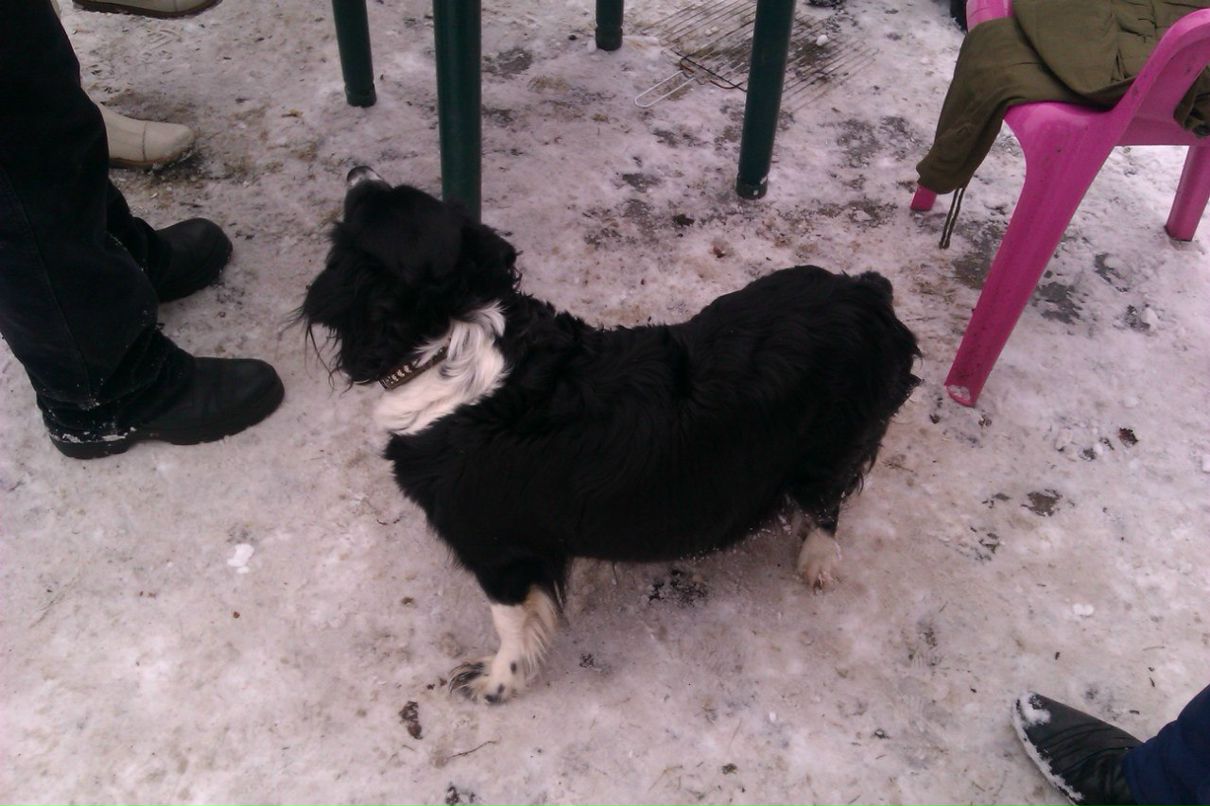 Ирина Иванова | Ярославль