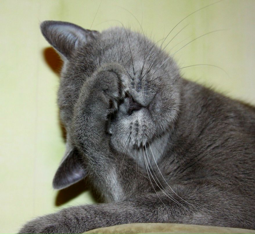 Алёна Бубнова -‘๑’- | Санкт-Петербург