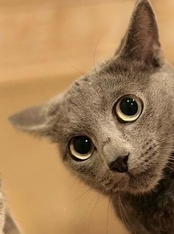 Наталья Андреева | Заводоуковск