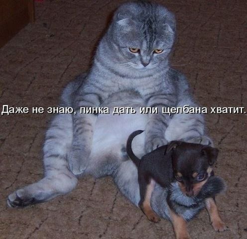 Анечка Мачихина | Харьков