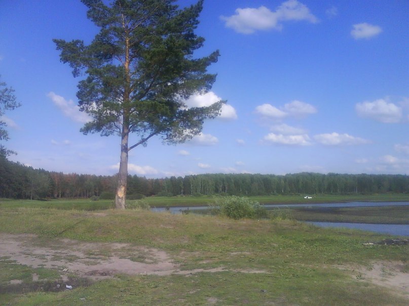 Алексей Озеров | Алексеевское