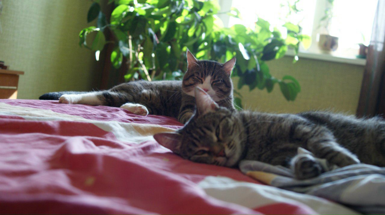 Артем Николаев | Красноярск