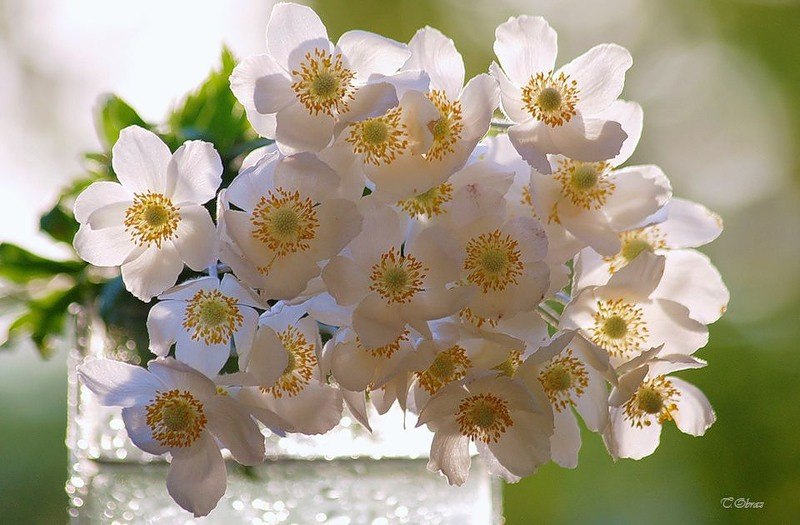 Людмила Годун | 