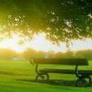 Елена Пономарева *Nikitich* | 