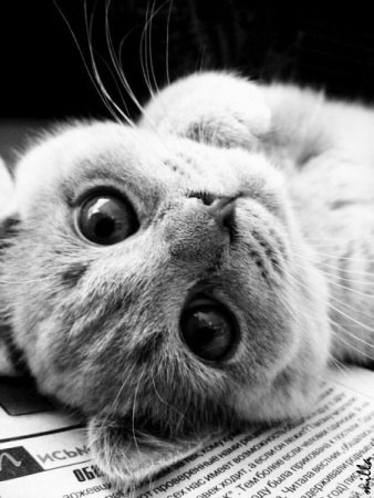 №87, Сергей Лукашкин, 31 год №87, Сергей Лукашкин, 31 год