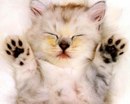 Фотография Климченко Евгения
