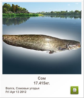 Сергей Лисин | Киев