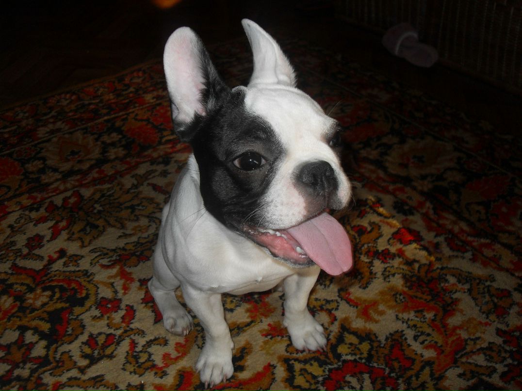 Кирилл Грицына | Краснодон