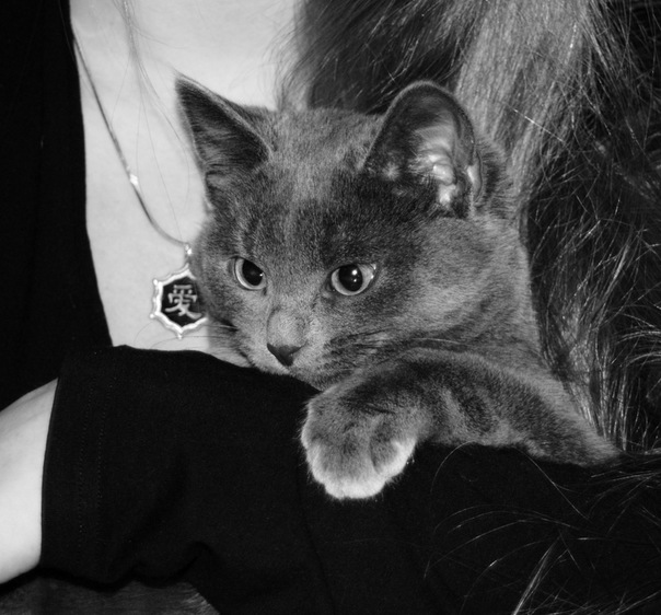 №37, Александра Сердюкова, 18.12, Москва №37, Александра Сердюкова, 18.12, Москва