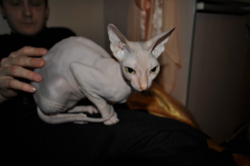 Александр Мезников | Воркута