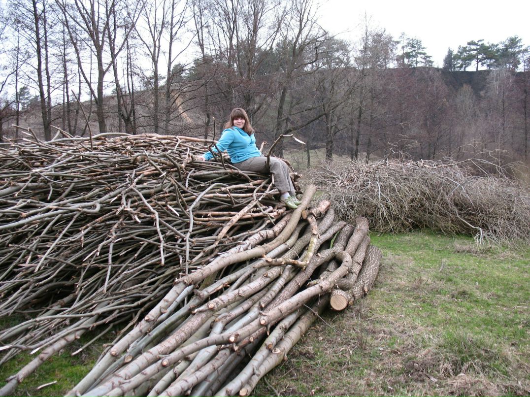 Алина Иванушкина | Сумы