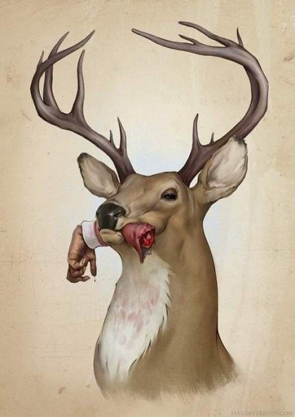 Анастасія Черкасова | Львов