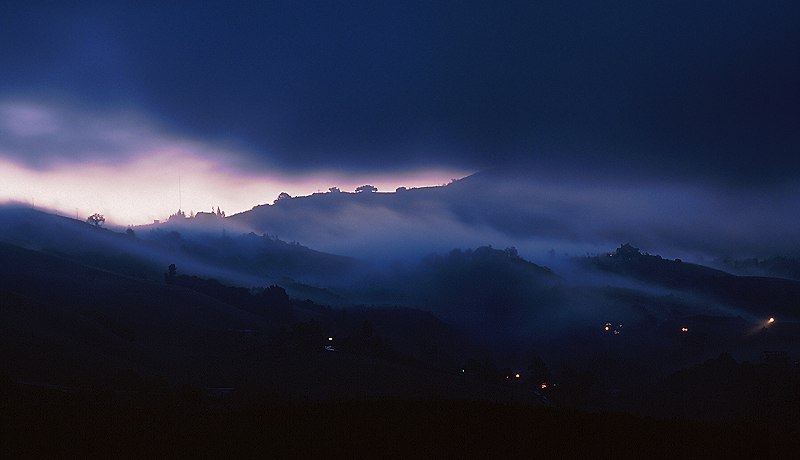 Евгений Соглаев | Курск