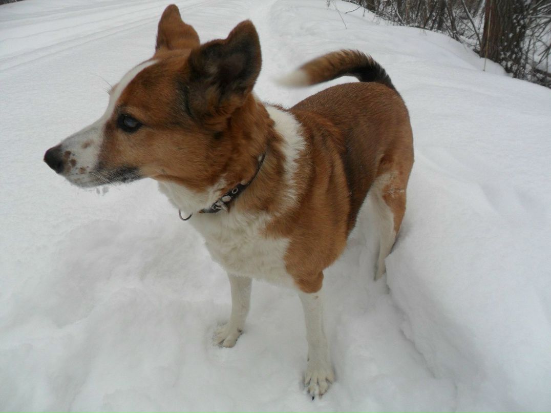 Елена Батусова (Зуева) | Санкт-Петербург