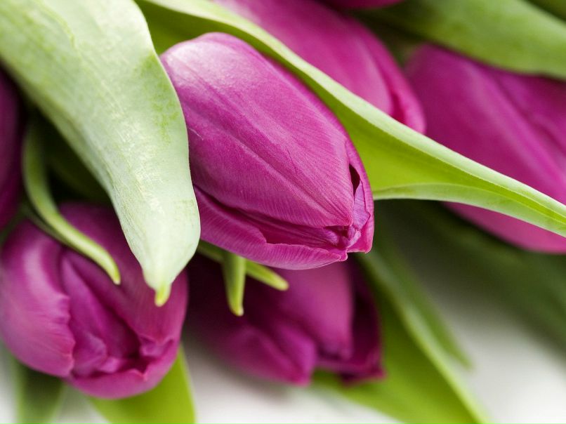 Екатерина Буринская | Санкт-Петербург