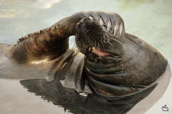 №134, Евгения Архипова, Кингисепп №134, Евгения Архипова, Кингисепп