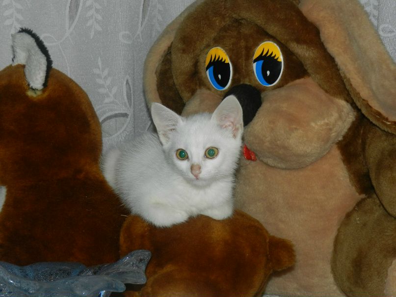 Olga Kost | Обухов