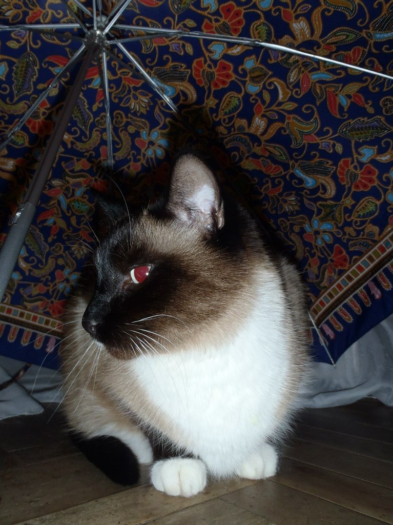 Елена Бочкарева | Пятигорск