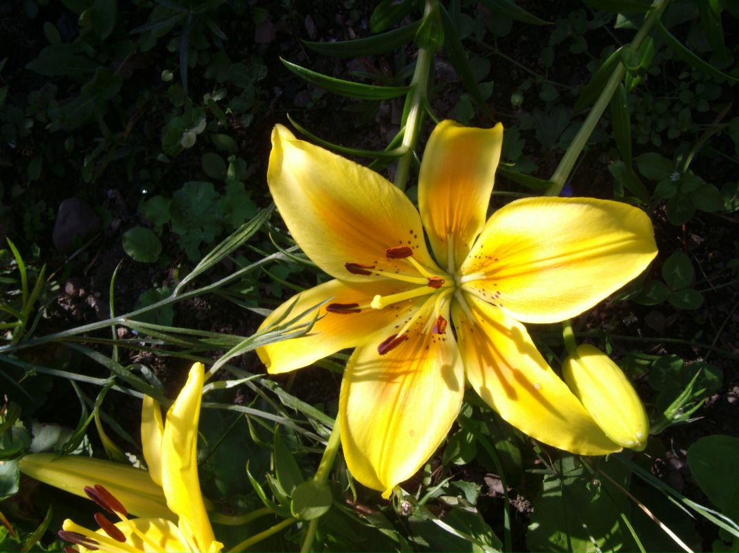 Инга Кудаева | Анапа