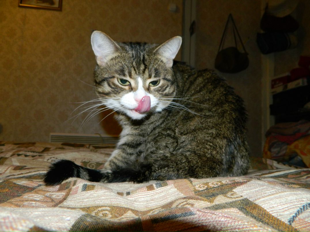 Александра Бачмановская | Щелково