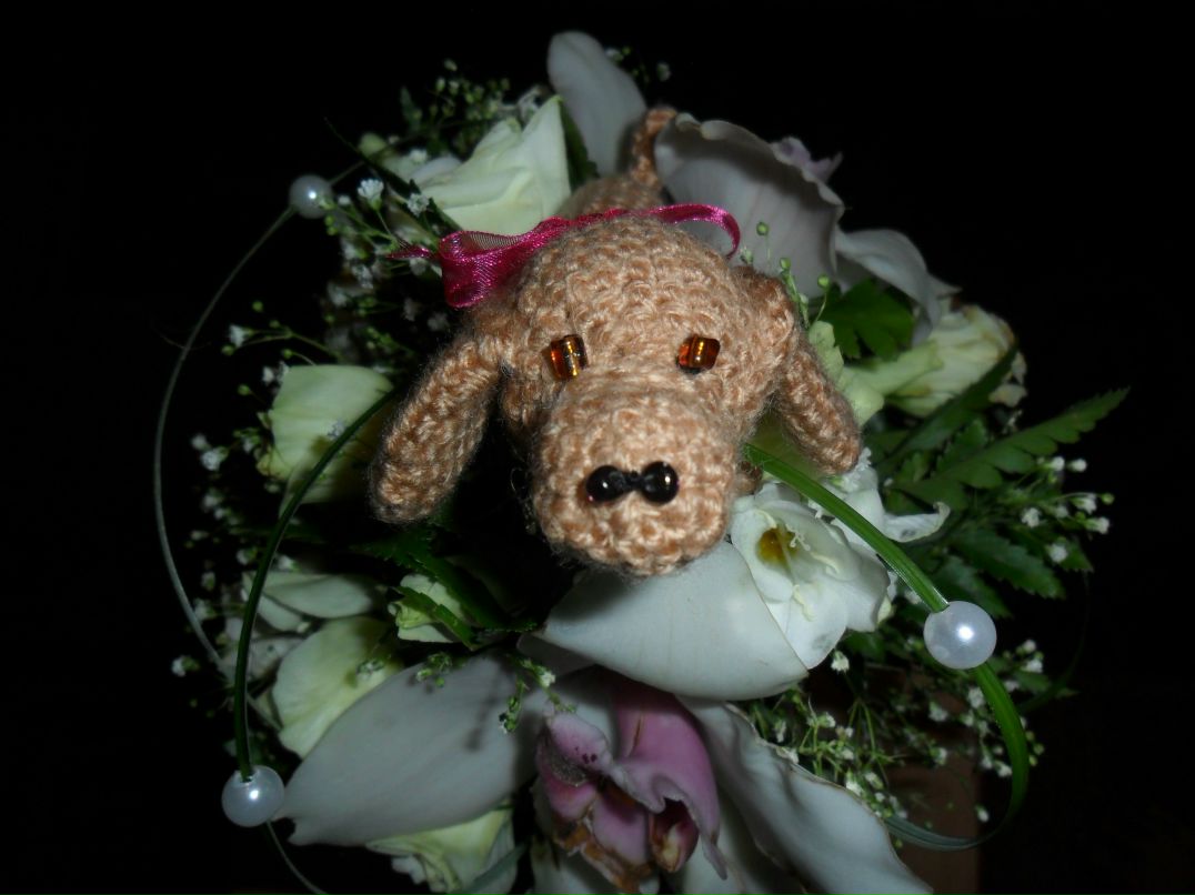 Александра Скарга | Мариуполь