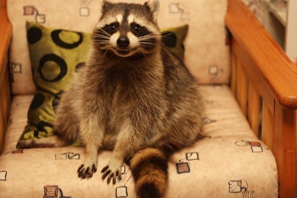 Татьяна Таня ☼ | 