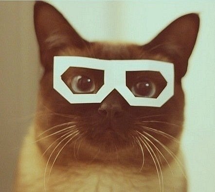 Ярик Яровой | 