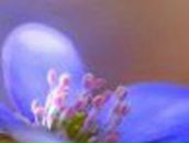 Мила Кутакова | Москва