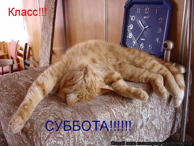 Ирина Борисенкова | Москва