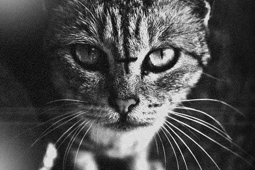 Анастасия Новоселова | 