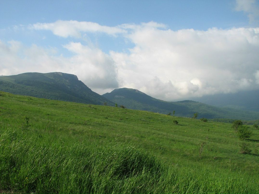 Артем Лапкин | Запорожье