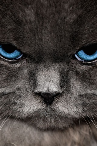 №43, Дмитрий Суворов, Санкт-Петербург, Россия №43, Дмитрий Суворов, Санкт-Петербург, Россия