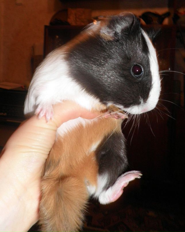 Ксюша Корнюшко | Киев