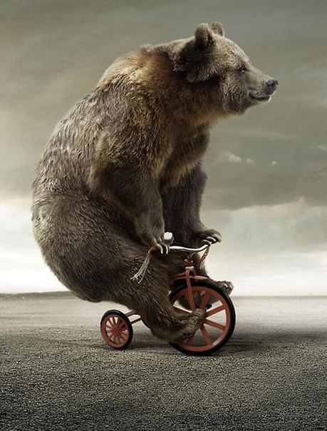 Юра Палагута | Черкассы