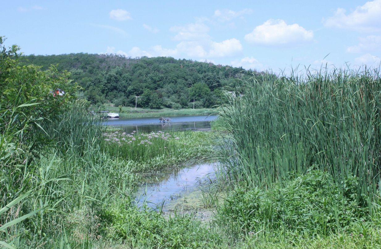 Ива Казанцева | 