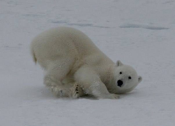 Тамара Синева | Москва