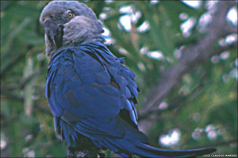 Евгения Карпухина | Омск