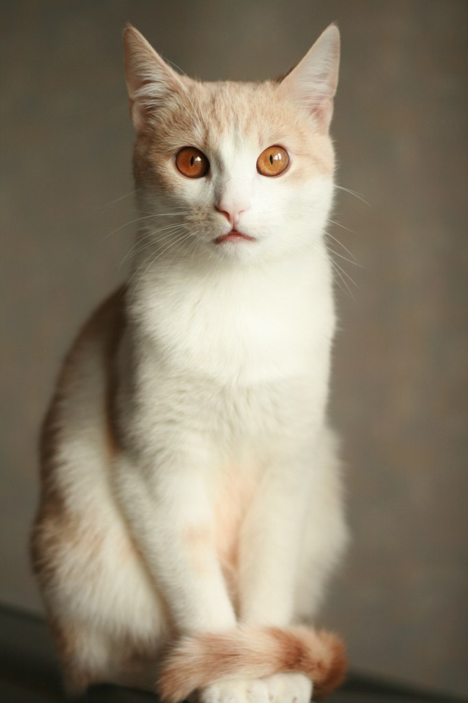 Екатерина Князева | New York City