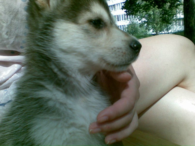 Лина Пасухина | Кривой Рог