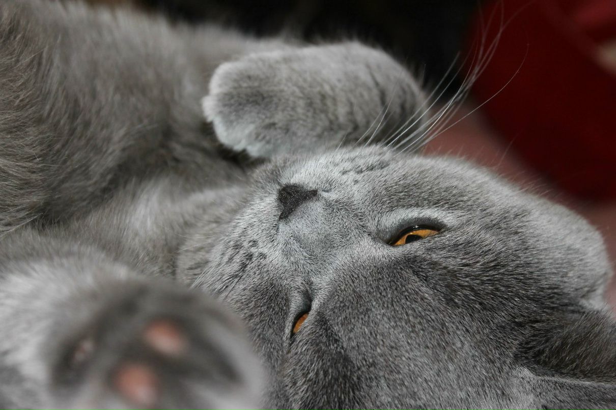 Екатерина Пяткина ♥ | Москва