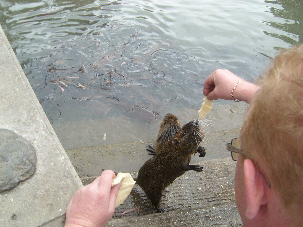 Мария Корякина | Нижний Тагил