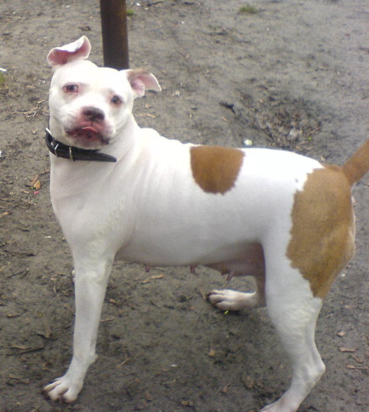 Жека Раджабов | Киев