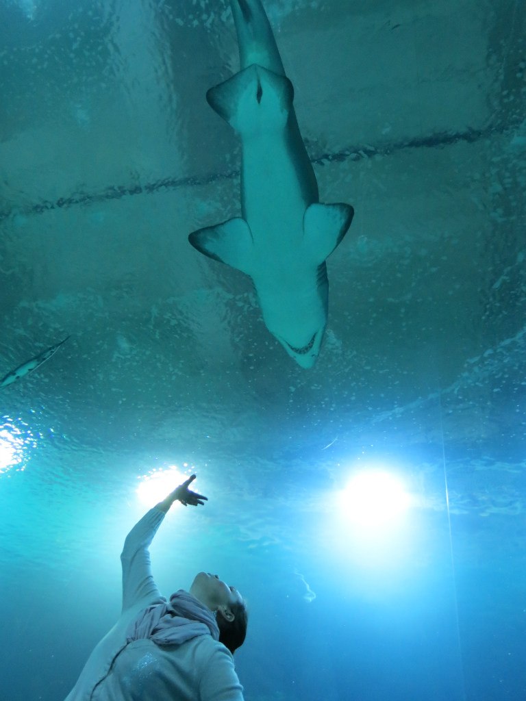 Мария Мага | Львов