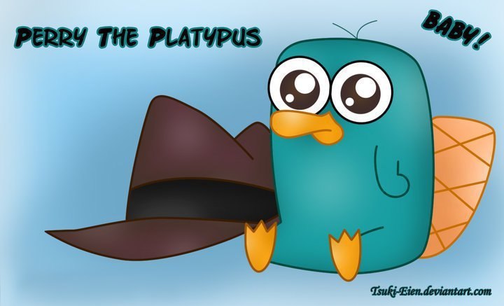 Ксения Гаврилова | Новосибирск