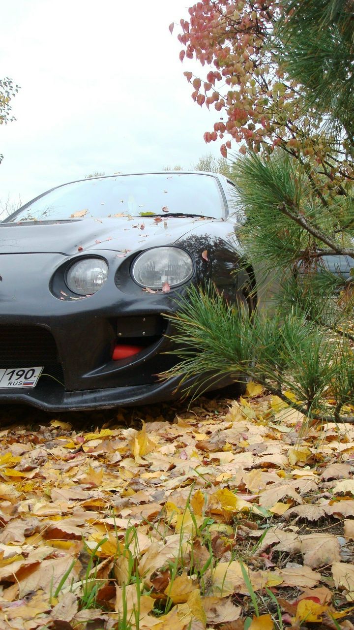 Анастасия Мозжухина | Tokyo