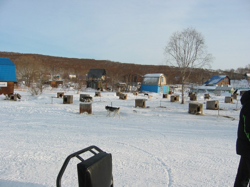 Анастасия Трофимова | Петропавловск-Камчатский