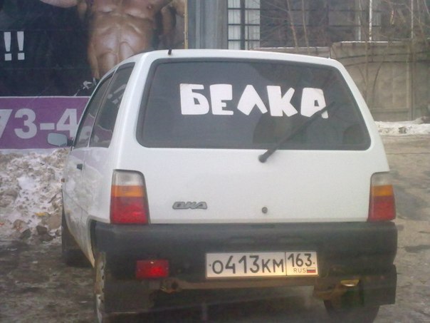 Динар Саитов Т@т@р  м@л@е