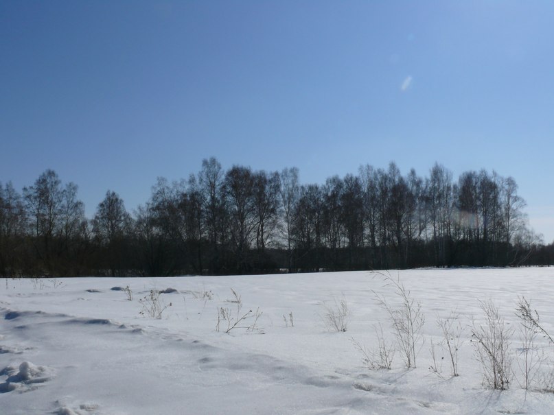 Анна Затеева | Санкт-Петербург