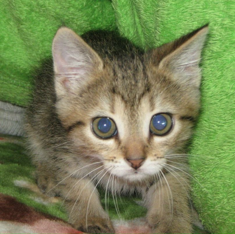 Ирина Ирина | Днепр (Днепропетровск)