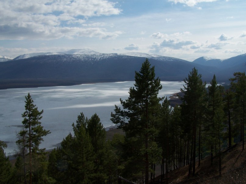 Павел Серкин | Кумора